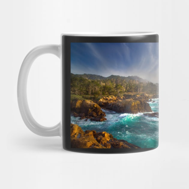 California's Point Lobos by dawn2dawn